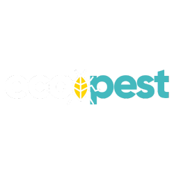 Eco Pest